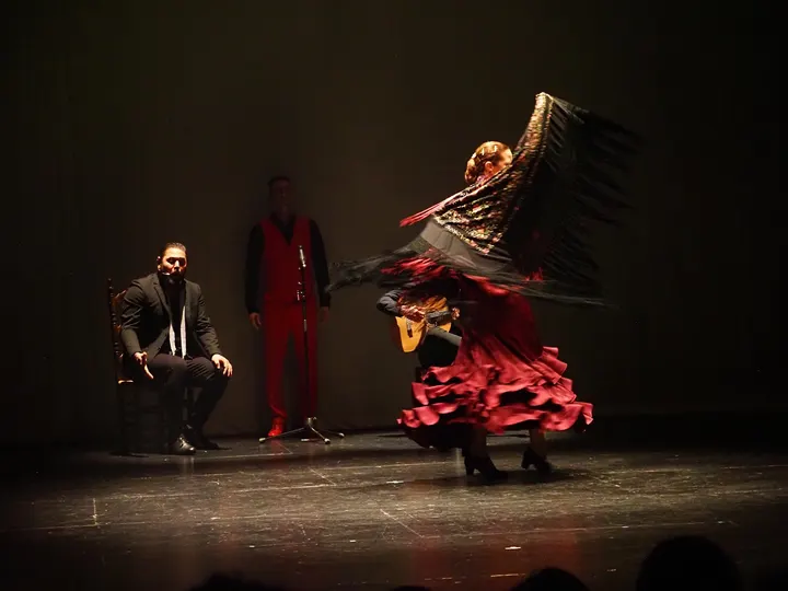 Atelier Chorégraphique et d'Art Flamenco de Montpellier — danse-studio à Estanove, Montpellier — 2