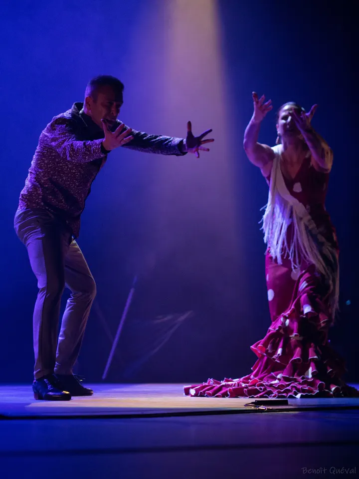 Atelier Chorégraphique et d'Art Flamenco de Montpellier — danse-studio à Estanove, Montpellier — 3