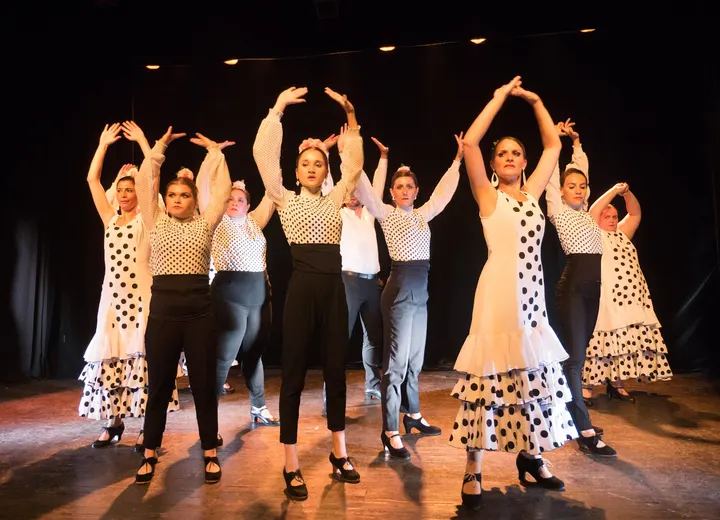 Atelier Chorégraphique et d'Art Flamenco de Montpellier — danse-studio à Montpellier — 5