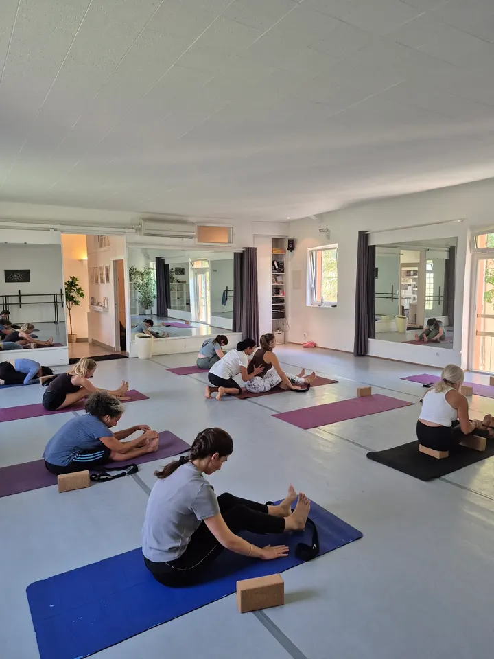 Gecko Yoga Aix-en-Provence — yoga-studio à Saint-Eutrope, Aix-en-Provence — 2