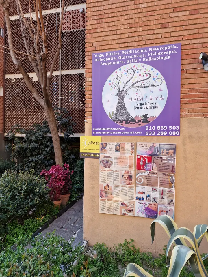El Árbol De La Vida. Centro De Yoga Y Terapias Naturales — yoga-studio en San Blas - Canillejas, Madrid — 3