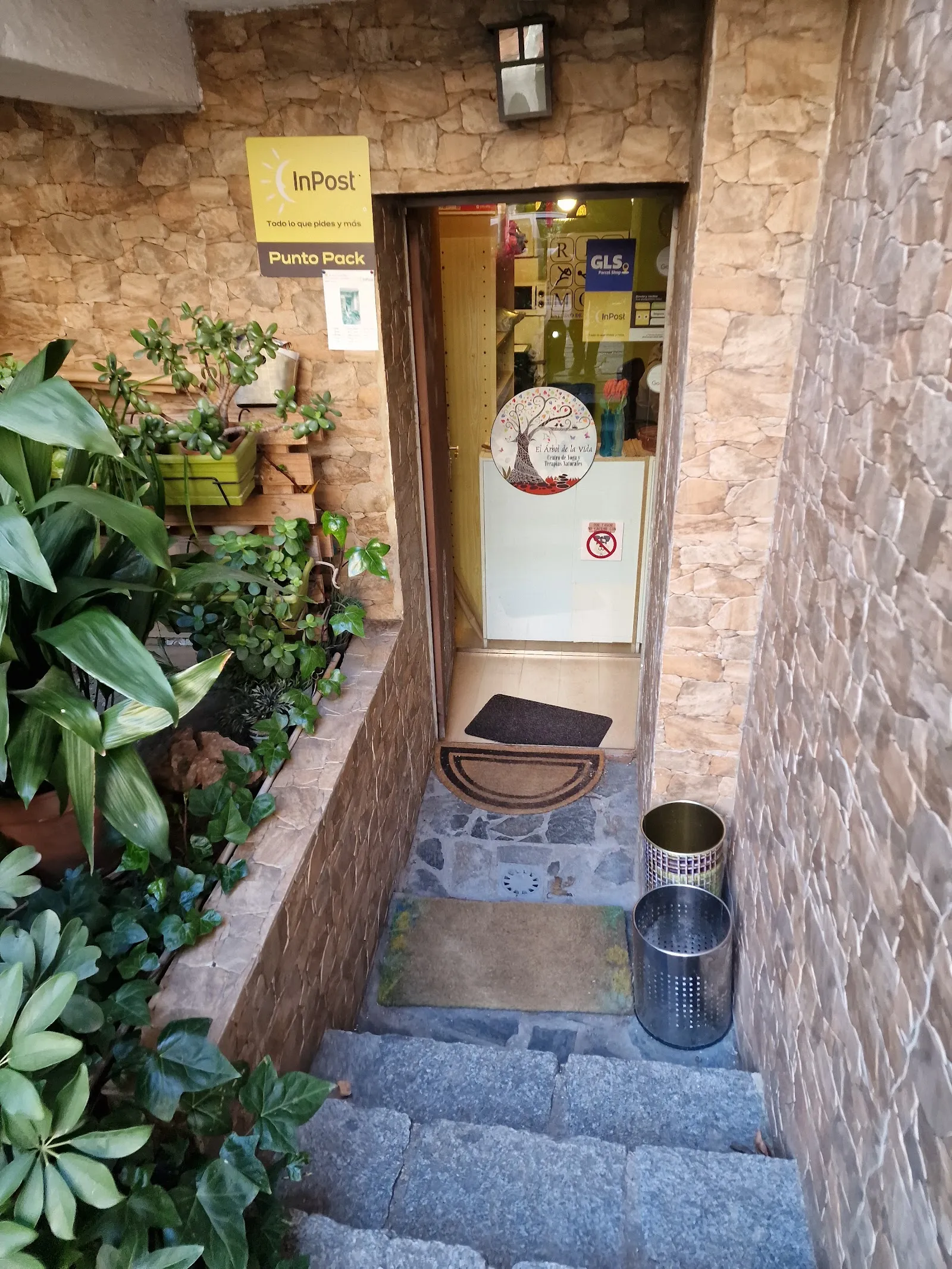 El Árbol De La Vida. Centro De Yoga Y Terapias Naturales — yoga-studio en Madrid — 3
