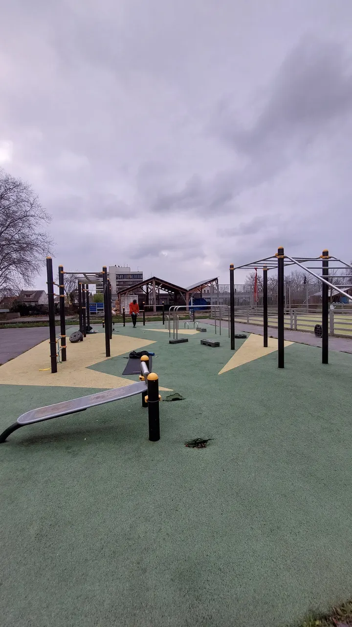 Moïse Blois Street Workout Park — Salle de fitness à La Noue - Clos-Français, Montreuil