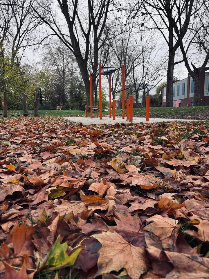 Parc de street workout — salle de fitness-studio à Bois Blancs, Lille — 2