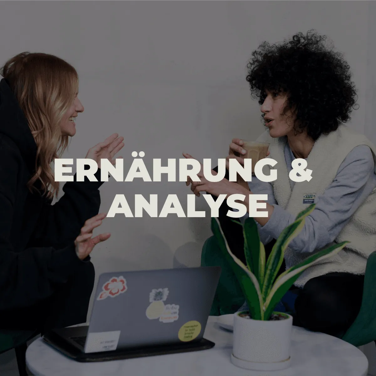 GETIMPULSE Bad Salzuflen — funktionell träning-studio i Bielefeld — 2