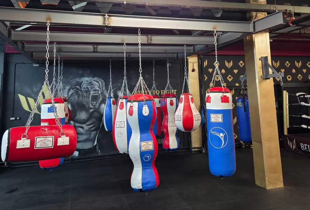 Bellwether Boxing & Fitness Gym — boxing-studio in Saffron Walden — 5