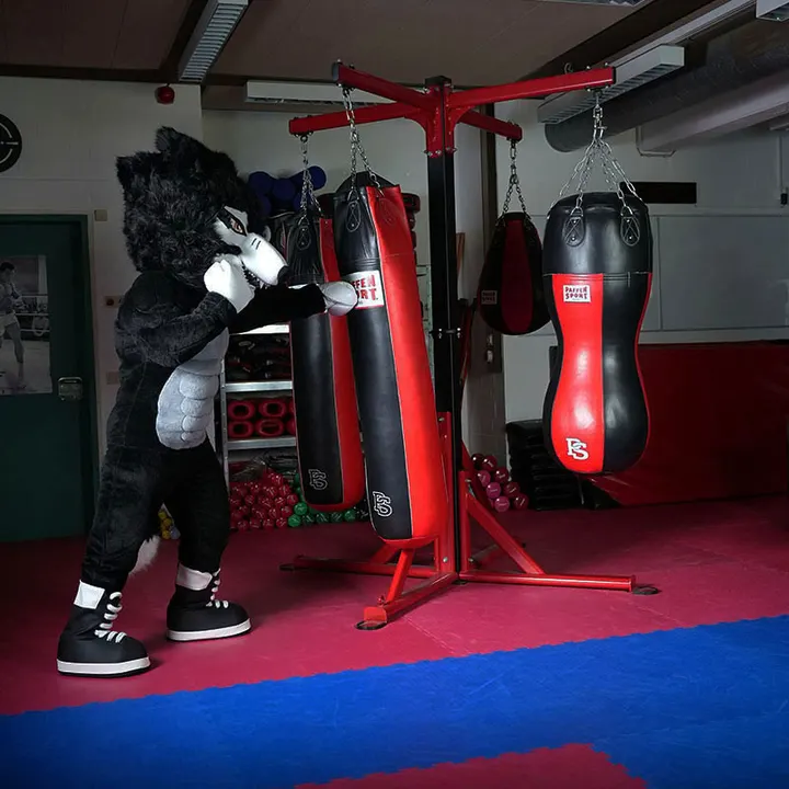 Fight Gym Krefeld e.V. — Boxing in Uerdingen, Krefeld