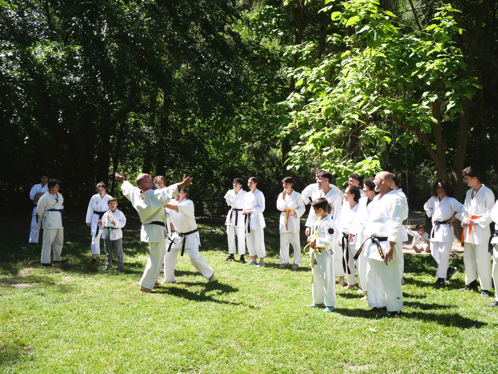 Gimnasio Shito Ryu — artes marciales-studio en Granada — 3