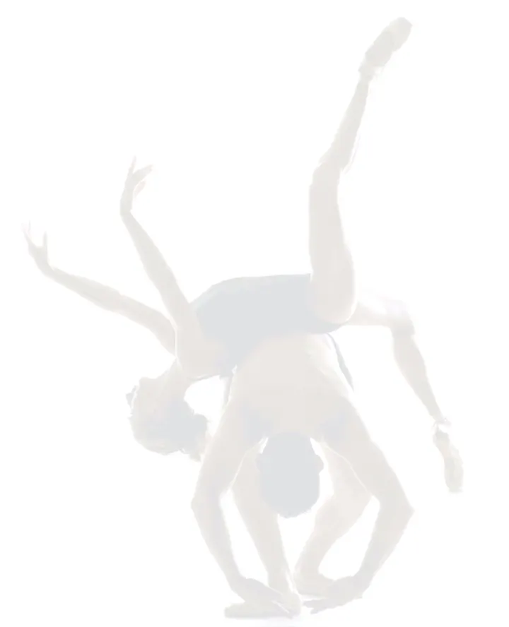 Pasodos — Palma Dance Center — Baile en Son Fortesa, Palma