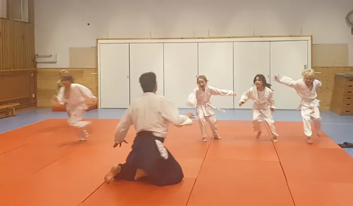 Lilla Nakaima Aikidoklubb  — Martial Arts i Skärholmen, Stockholm