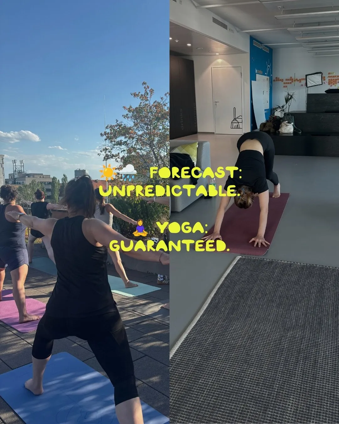Yoga Nebenan @Laimlight — yoga-studio i München — 3