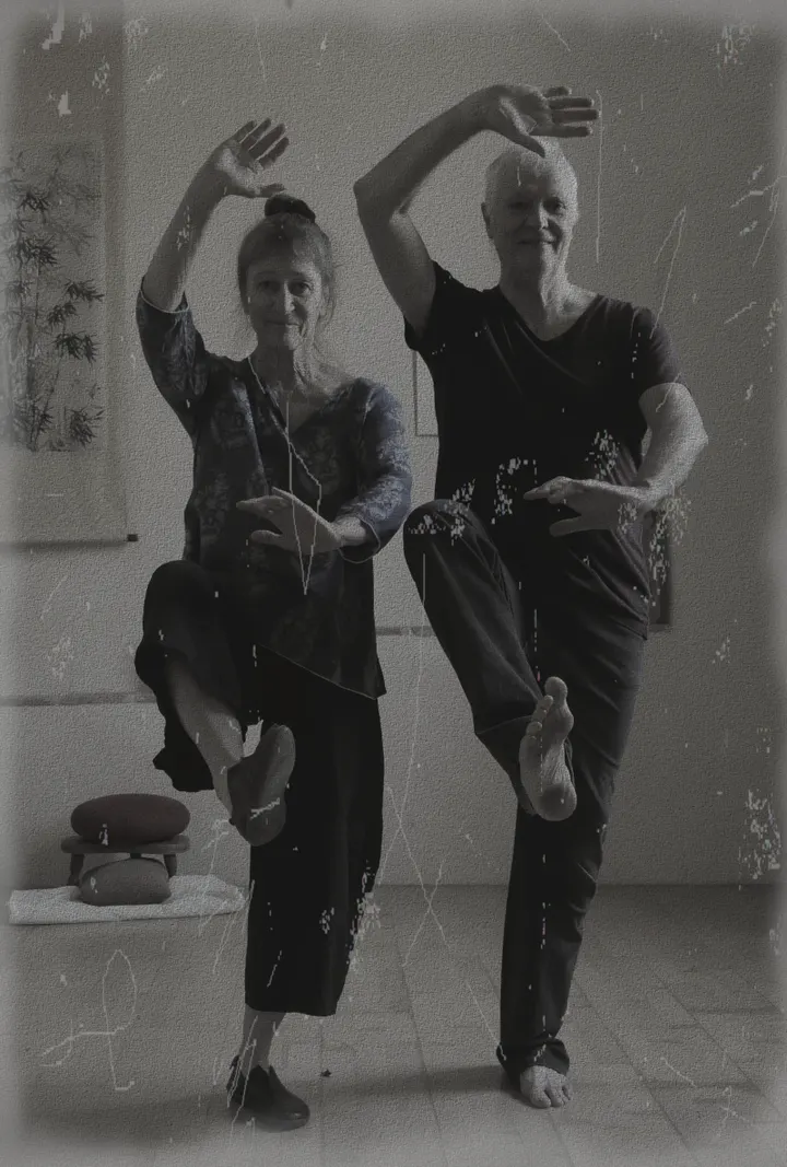 Le Fil de Soie Nîmes Pi — arts martiaux-studio aux Carmes, Nîmes — 2