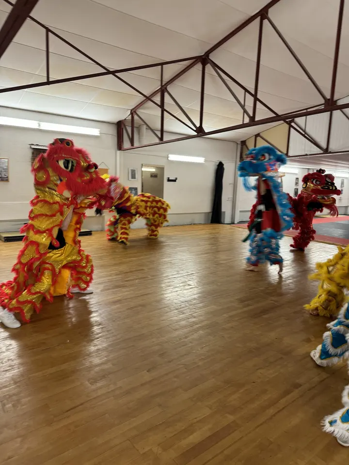 Thanh Long Vo Dao France — Arts martiaux à 10e Arrondissement, Marseille