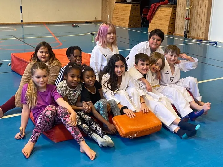 Uppsala WT Taekwondo klubb — kampsport-studio i Uppsala — 3