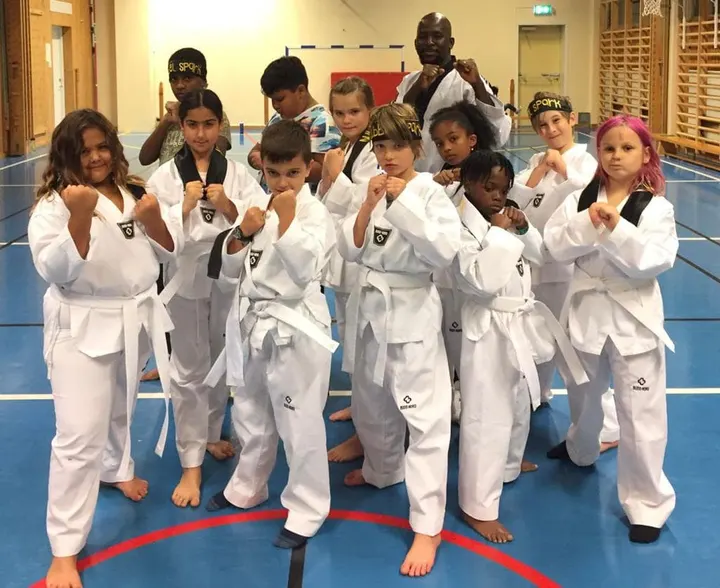 Uppsala WT Taekwondo klubb — kampsport-studio i Uppsala — 4