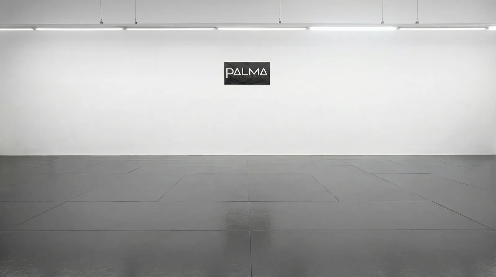 PALMA BJJ ACADEMY (dojo) — kampsport-studio i Palma — bild 4