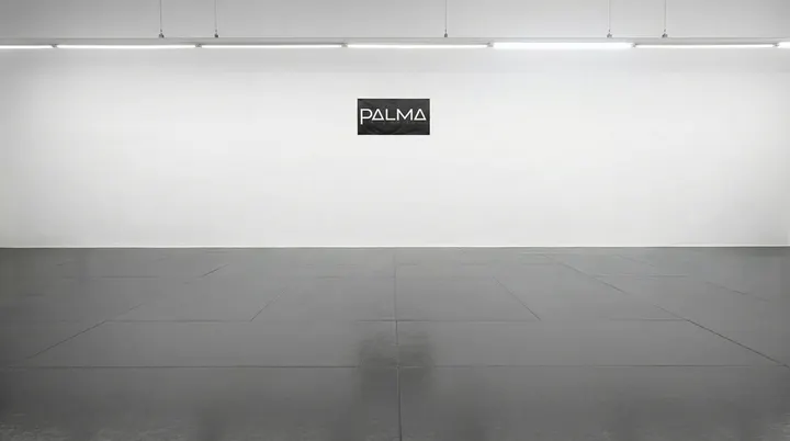 PALMA BJJ ACADEMY (dojo) — artes marciales-studio en Palma — 4