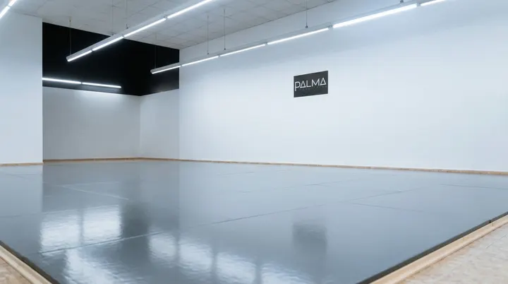 PALMA BJJ ACADEMY (dojo) — Martial Arts en es Camp Redó, Palma