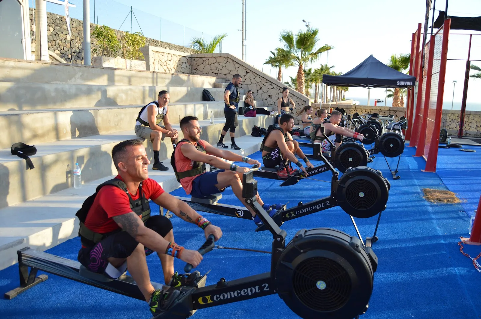 Survive top Training — crossfit-studio en La Caleta — 2