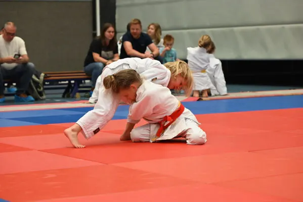 Judoclub Jigoro Kano Sevenum — vechtsport-studio in Sevenum — 4