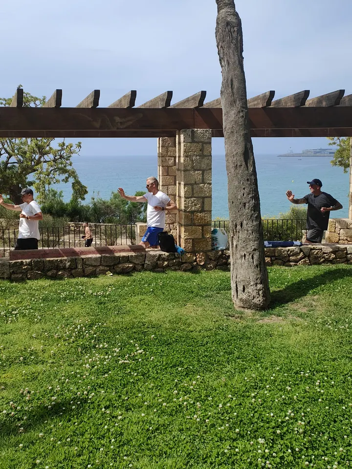 Ving Tsun Kung Fu Purmerend — vechtsport-studio in Zuidoostbeemster — 3