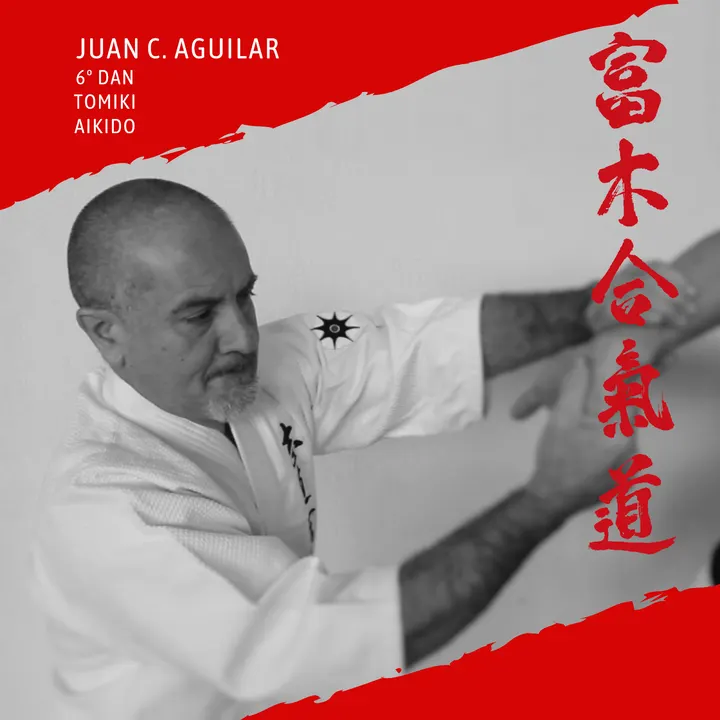 Tomiki Aikido Ciudad Jardin Shidokan S.H.Dojo. — artes marciales-studio en Ciudad Jardín, Málaga — 3