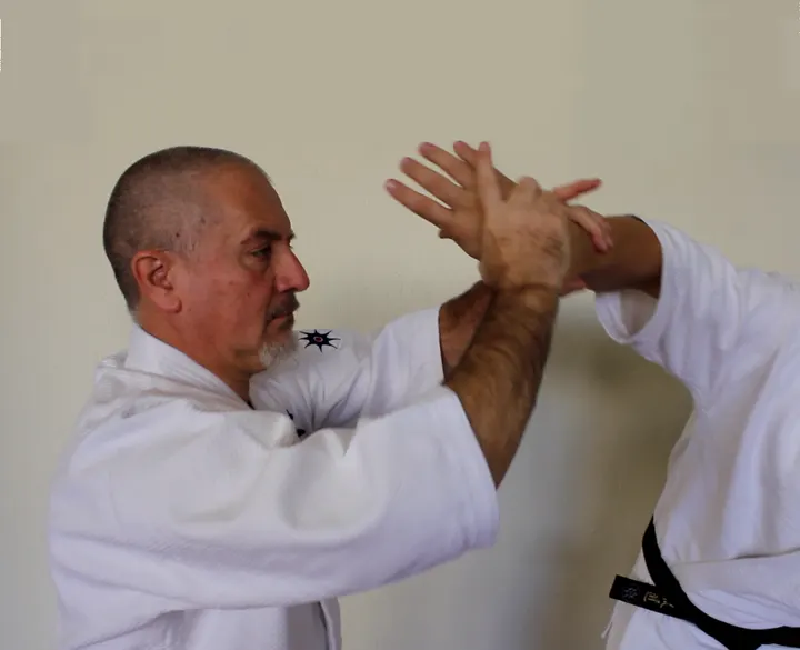 Tomiki Aikido Ciudad Jardin Shidokan S.H.Dojo. — artes marciales-studio en Málaga — 4