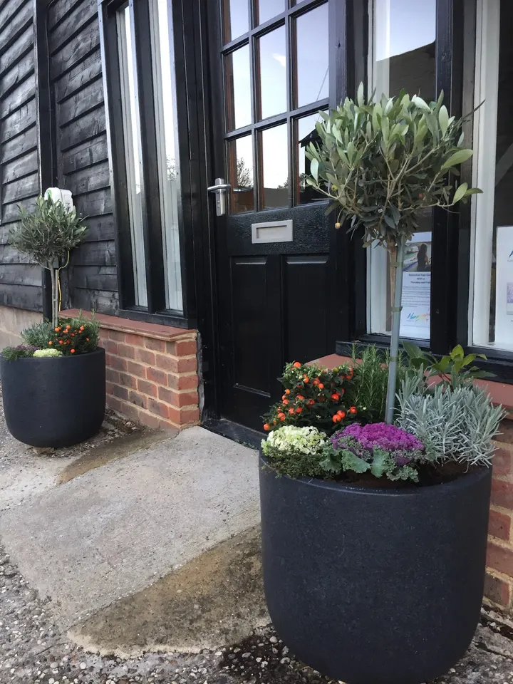 Hummingbird Pilates & Yoga — yoga-studio in Writtle, Chelmsford — 3