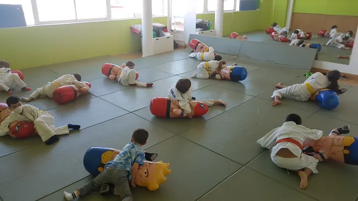 CD JUDO VILLA DE LEGANÉS — artes marciales-studio en Campo Claro, Leganés — 2