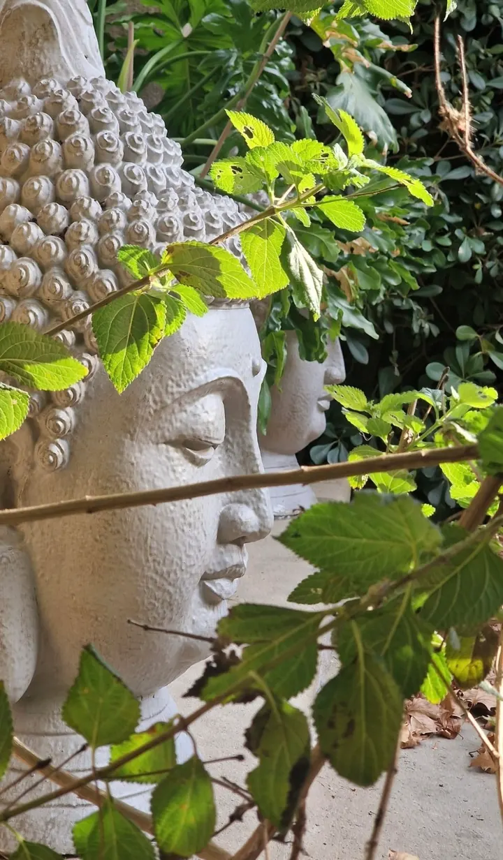 Moodra: Yoga Studio Firenze — yoga-studio a Firenze — 4