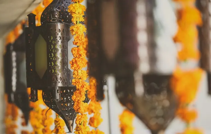 Indian Origin Yoga Elst — Yoga in Elst