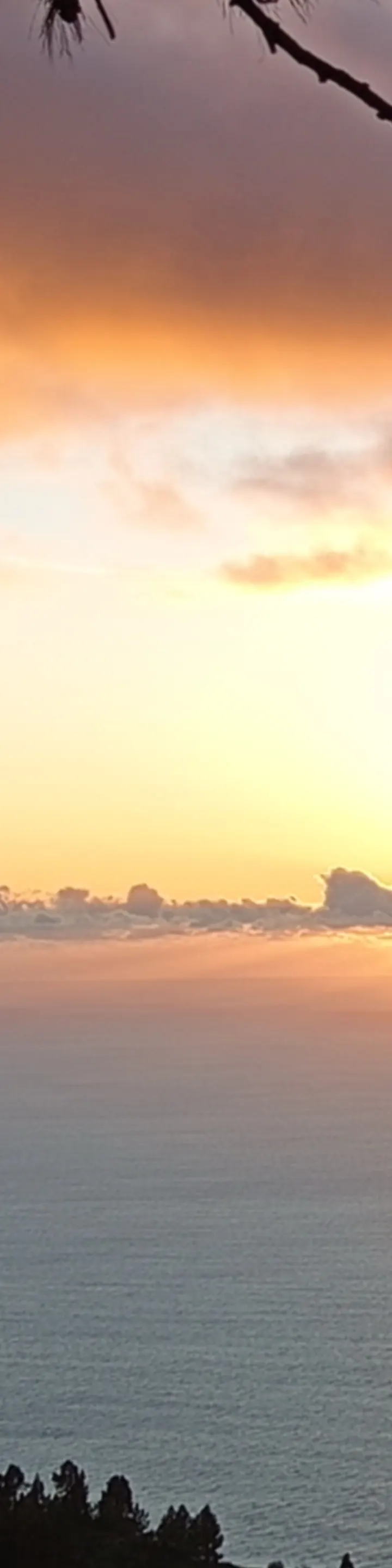 Mangala Yoga Ayurveda Reiki — yoga-studio in Bielefeld — 4