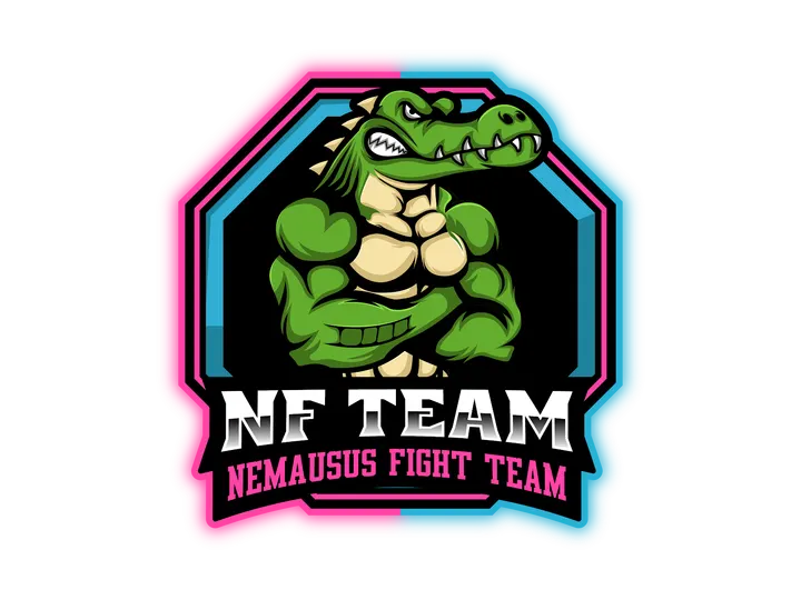 Nemausus Fight Team — MMA à Capouchiné, Nîmes