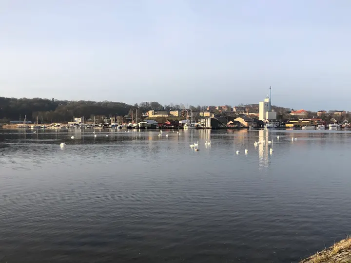 Hobro Yoga og Qigong — yoga-studio i Vikingeparken Hobro, Hobro — 3