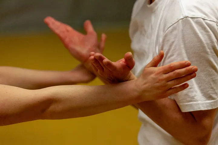 Zentral Dojo Braunschweig — Meditation in Mitte, Braunschweig