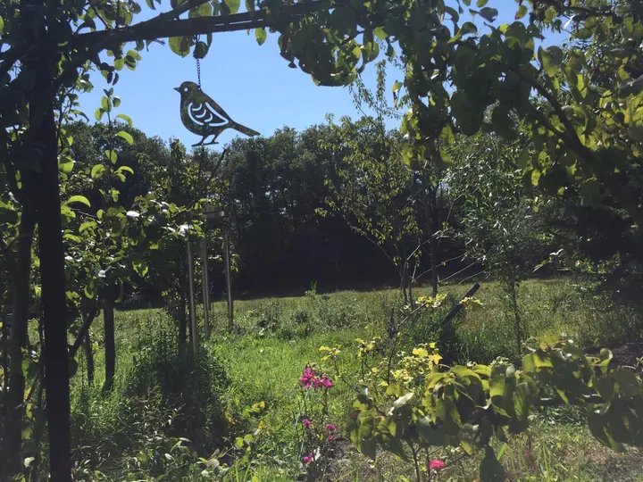 Land van Jan — wellness-studio in Bergen op Zoom — 4
