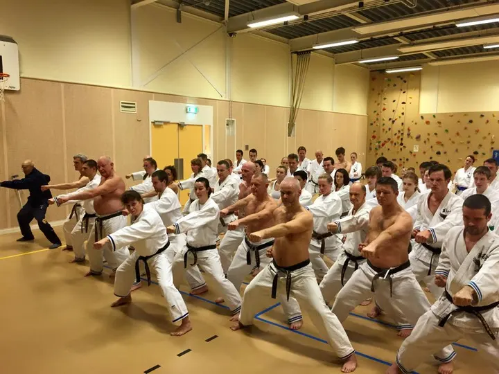 Karate Vereniging Nishi — vechtsport-studio in Poelenburg, Zaandam — 3
