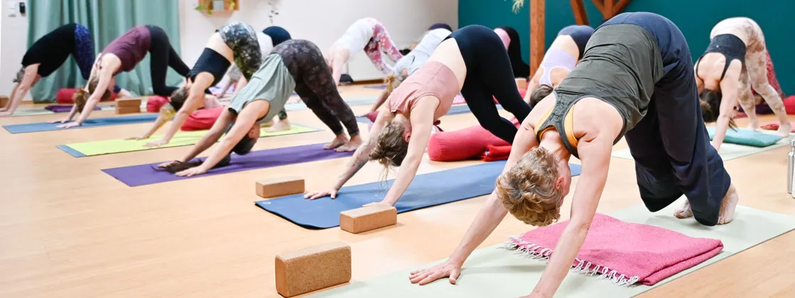 Vishnu's Vibes — yoga-studio i Düsseldorf — 2