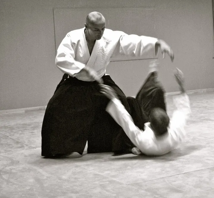 Aïkido Club du Ponant — Arts martiaux à Dour Bras, Brest