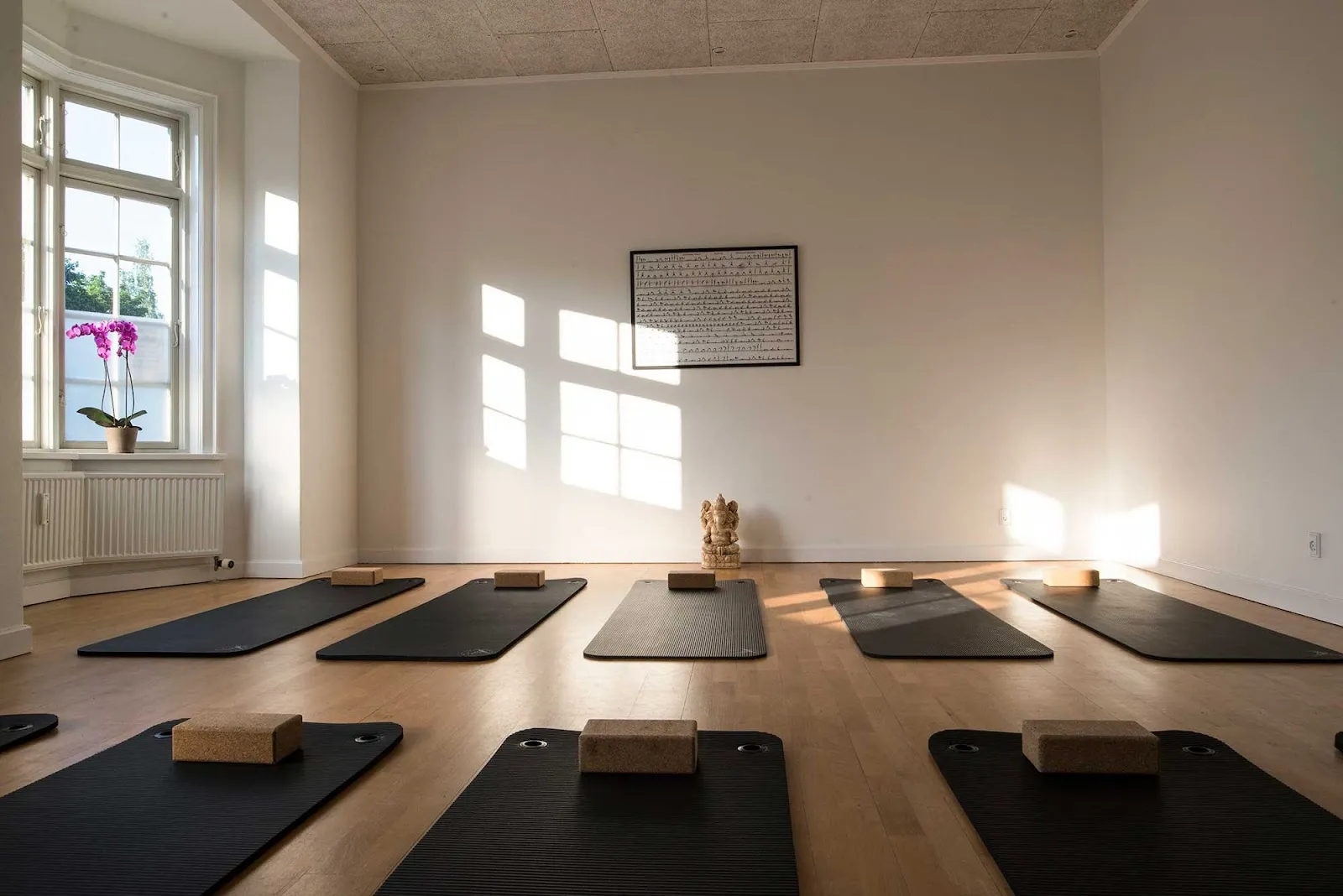 Anton's Yoga — yoga-studio i København SV — 4