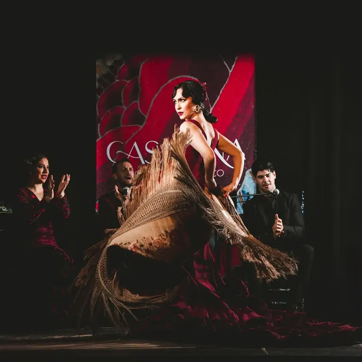 Tablao Flamenco Casa Ana Granada — Dance en Albaicín, Granada