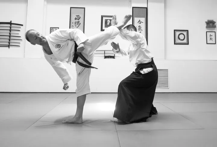Dojo Zentrum Artes Marciales Y Salud — artes marciales-studio en Tetuán, Madrid — 3