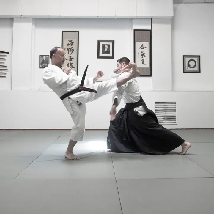 Dojo Zentrum Artes Marciales Y Salud — artes marciales-studio en Madrid — 3