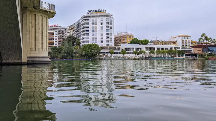 CLUB SUP SEVILLA — remo-studio en Triana, Sevilla — 3