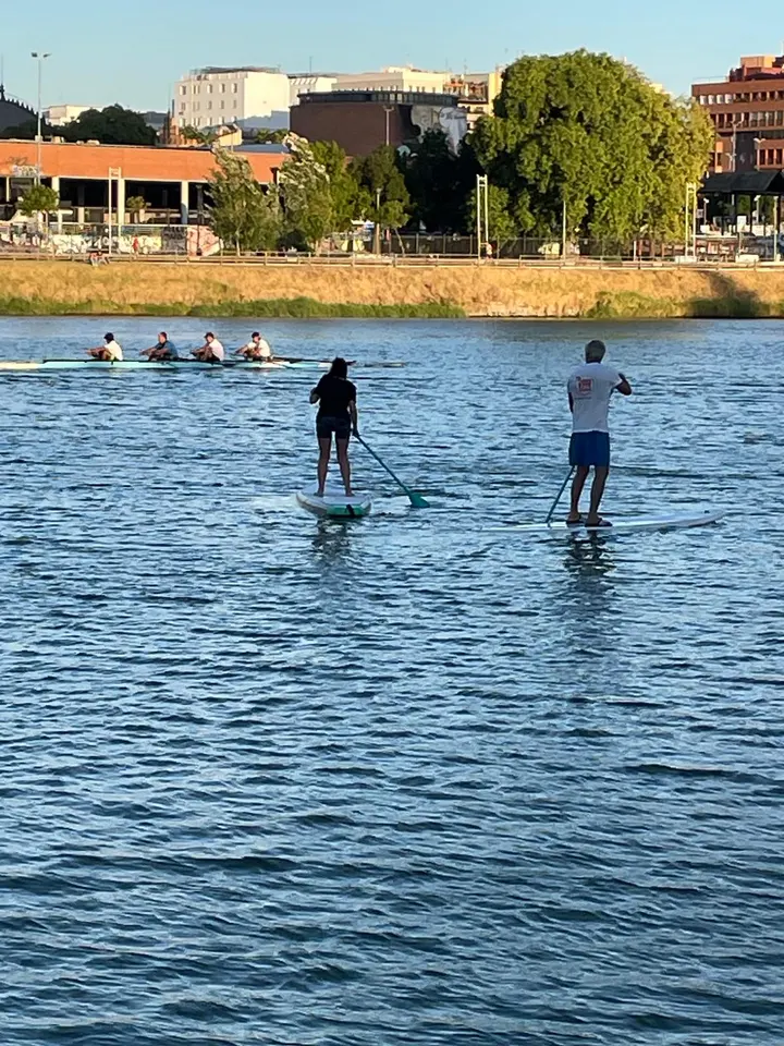CLUB SUP SEVILLA — remo-studio en Sevilla — 3