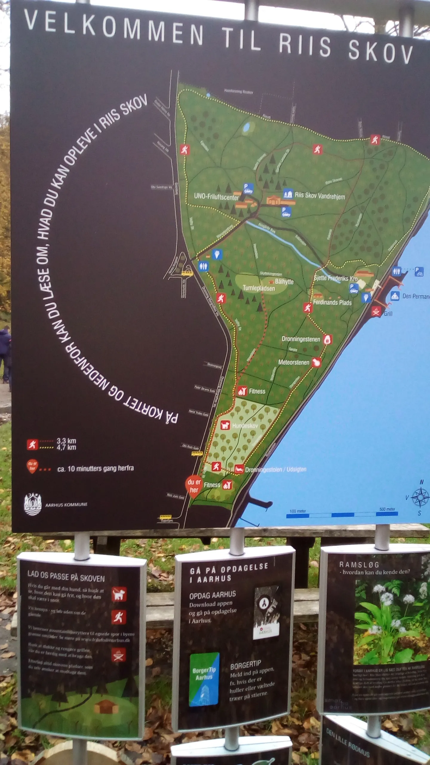 Udendørstræning — bootcamp-studio i Aarhus — 4