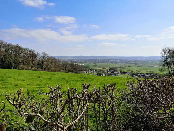 Yoga Avenue - Tickenham Village Hall — Yoga in Bristol