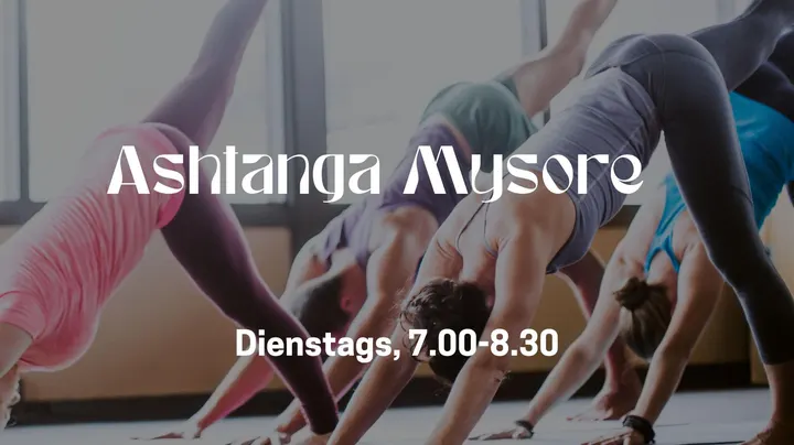 DreiHasenYoga Paderborn — yoga-studio in Schloß Neuhaus, Paderborn — 2