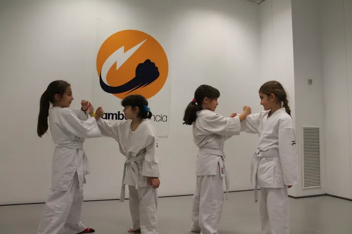 Sambo Valencia — artes marciales-studio en Valencia — 5
