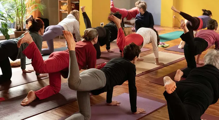 Centro Yoga Bhadra — yoga-studio a Milano — 3